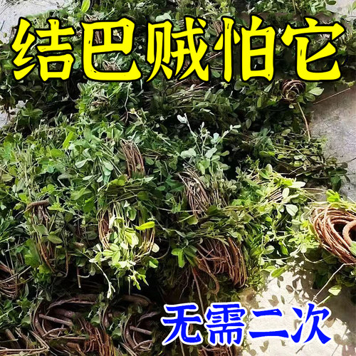 不用二次】口齿不清结巴紧张说话重复矫正卡克大舌头语言障碍贴LM