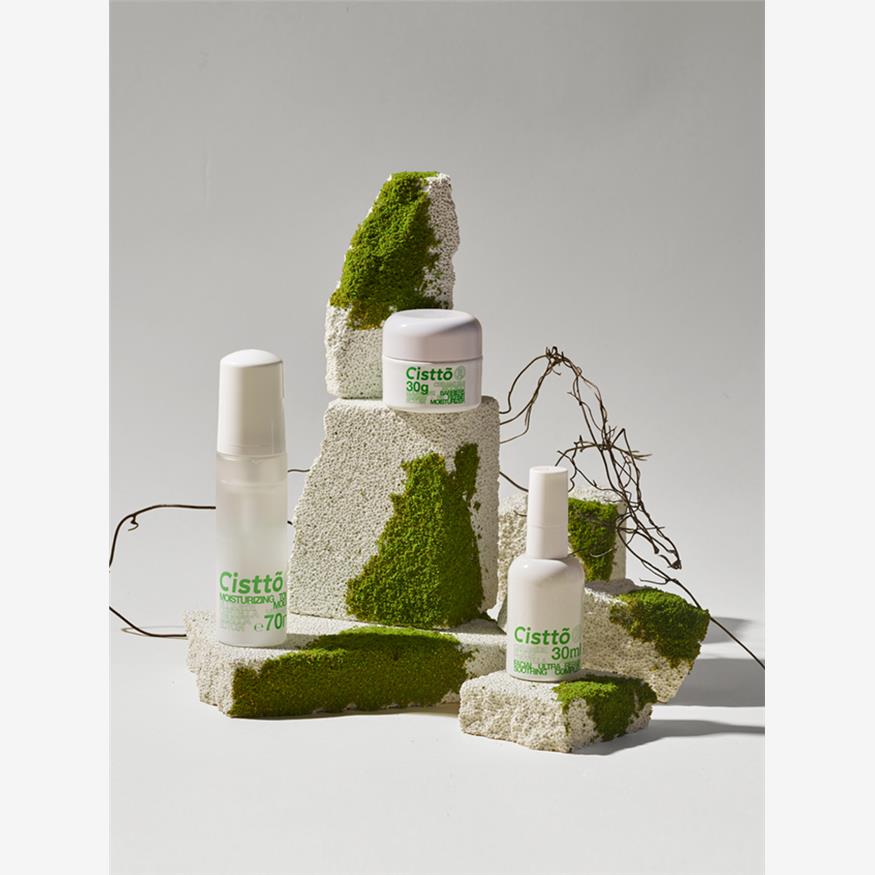 模拟苔藓景观森林摆造型
