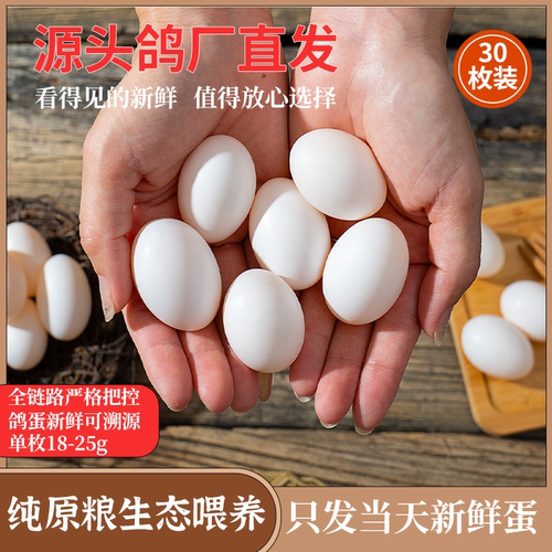 新鲜鸽子蛋30枚破损包赔