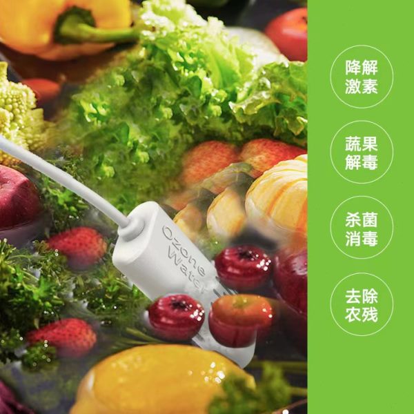 果蔬清洗净化器臭氧水生成器家用超氧水制造机O3活氧生成器便携式