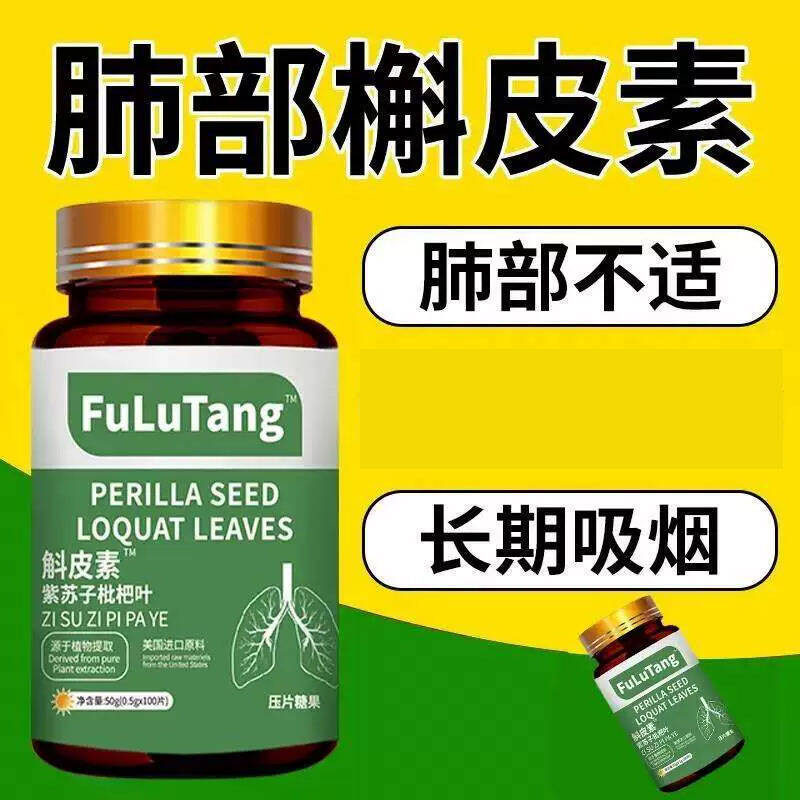 斛皮素紫苏籽枇杷叶片槲皮素成人的功效作用草本萃取