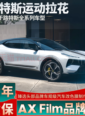 适用于路特斯EMEYA拉花繁花EMIRA线条机盖侧裙贴纸ELETRE装饰车贴