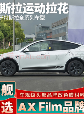 适用于特斯拉ModelY拉花Model3 S个性车贴ModelX黑色侧裙装饰贴纸
