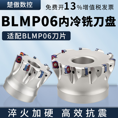 BLMP0603R内冷铣刀盘双面快进给铣刀盘BLMP0603R铣刀片平替特固克
