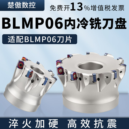 BLMP0603R内冷铣刀盘双面快进给铣刀盘BLMP0603R铣刀片平替特固克