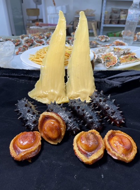 模型仿真菜假菜食品模型假菜