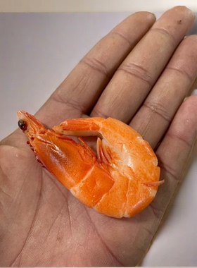 模型仿真菜爱之果虾仁模型白灼虾