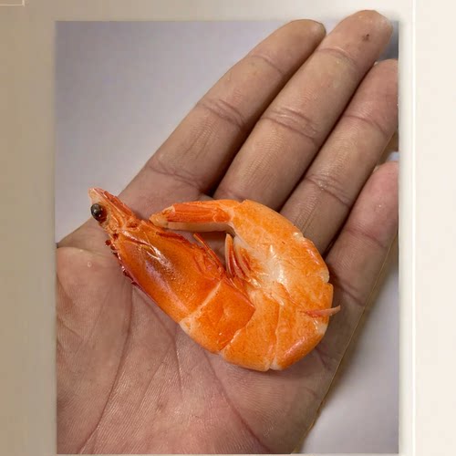 虾模型海鲜模型仿真菜假菜白灼虾