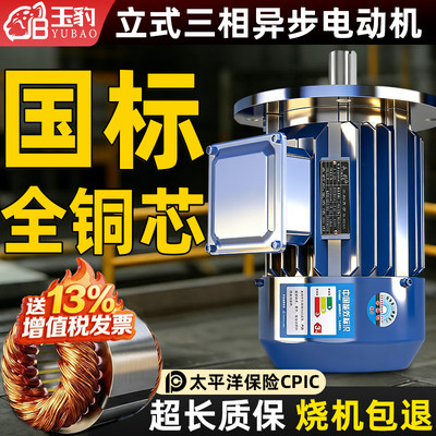 【100%全铜线圈】买电机→找玉豹