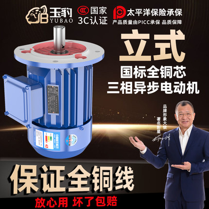 立式全铜三相异步电动机0.75/1.1/1.5/2.2/3/4/5.5KW电机380V三相