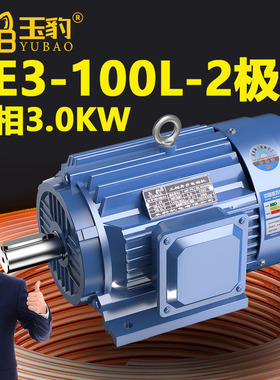 100L-2极全新YE3系列三相异步电动机国标3KW电机380V三相全铜
