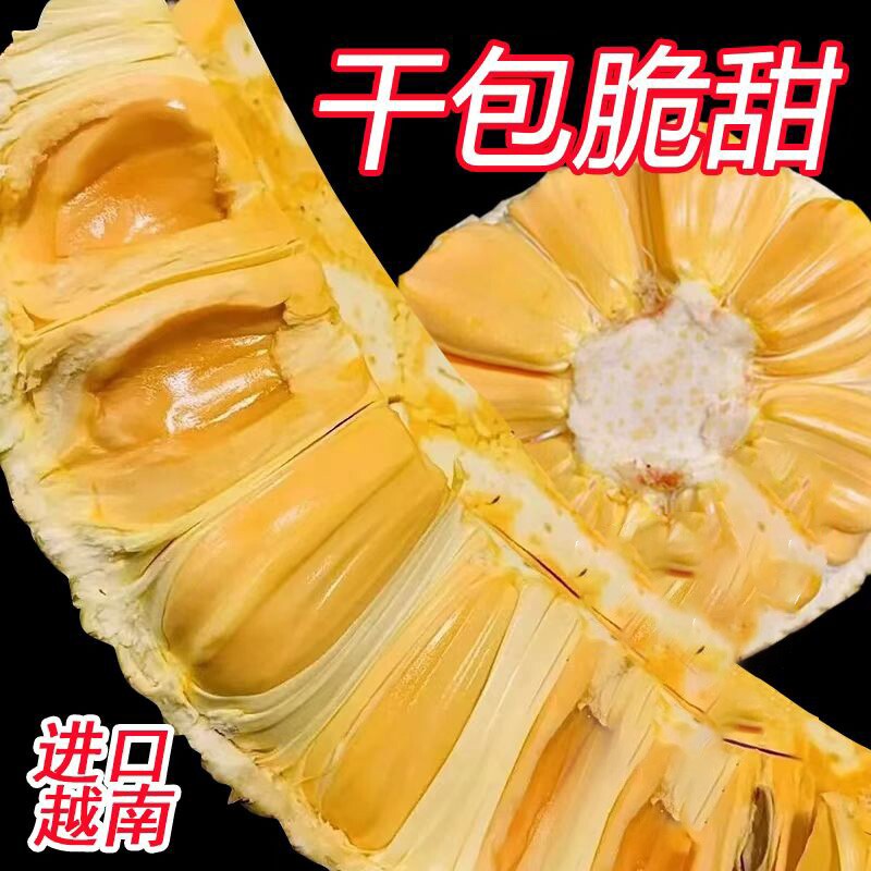 菠萝密越南进口一级大果新鲜一整个干苞脆甜热带水果红心菠萝蜜