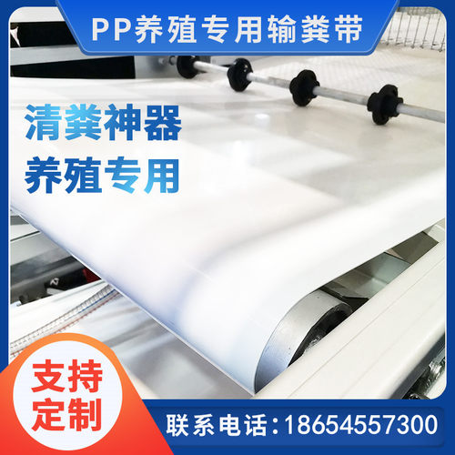 PP清粪带养殖场清输送带塑料耐磨