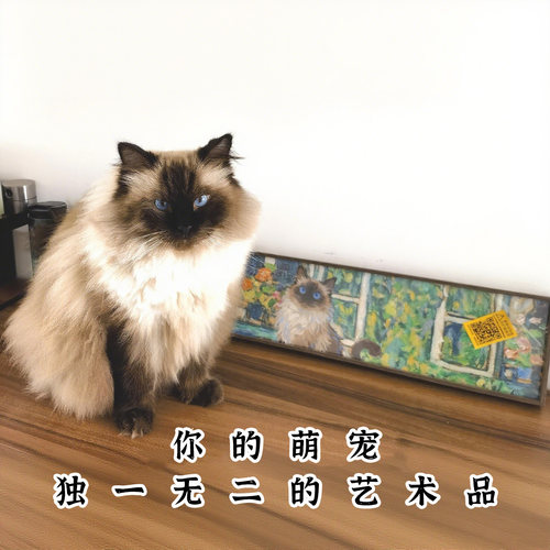 ZOYART定制宠物小红书同款