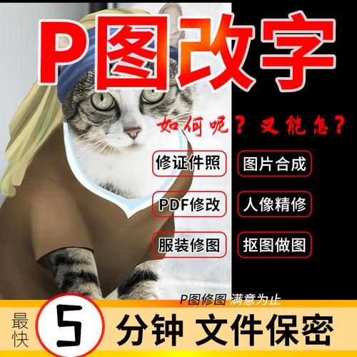 专业P图改文字PDF去水印人像服装修图抠图证件婚纱照写真网感批图