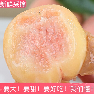 新鲜无锡6两软甜正宗水蜜大桃子