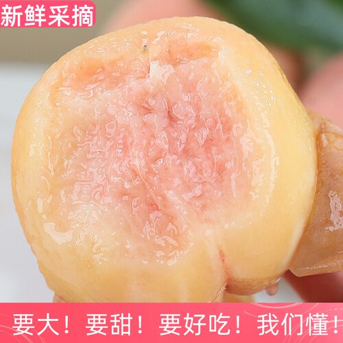 新鲜无锡6两软甜正宗水蜜大桃子