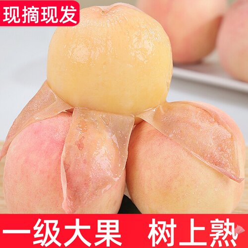 新鲜无锡软甜6两正宗水蜜大桃子