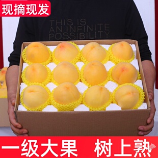 现摘现发黄桃新鲜水果10斤整箱时令孕妇脆甜当季大果农家软毛桃子
