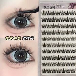 2025新款免胶自粘假睫毛女自然仿真犬系款超软毛新手大容量送镊子