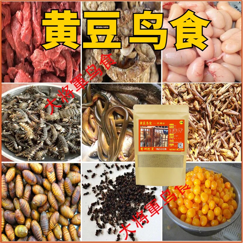 黄豆鸟收身提性养膘鸟食饲料打口打鸟斗鸟秘制手工料500克包邮