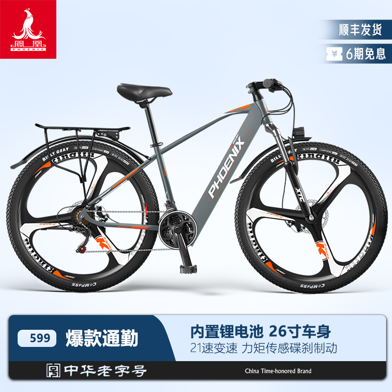 凤凰599锂电池爆款电动自行车