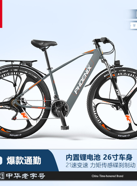 凤凰锂电池电动自行车男女士成人新国标代步通勤电瓶车助力电单车