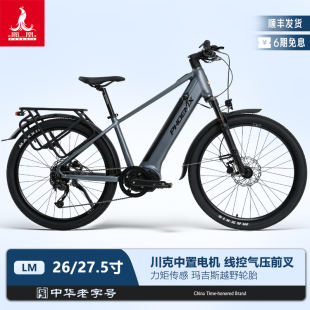 Phoenix 凤凰力矩700c铝合金电助力自行车可提锂电油碟电动车