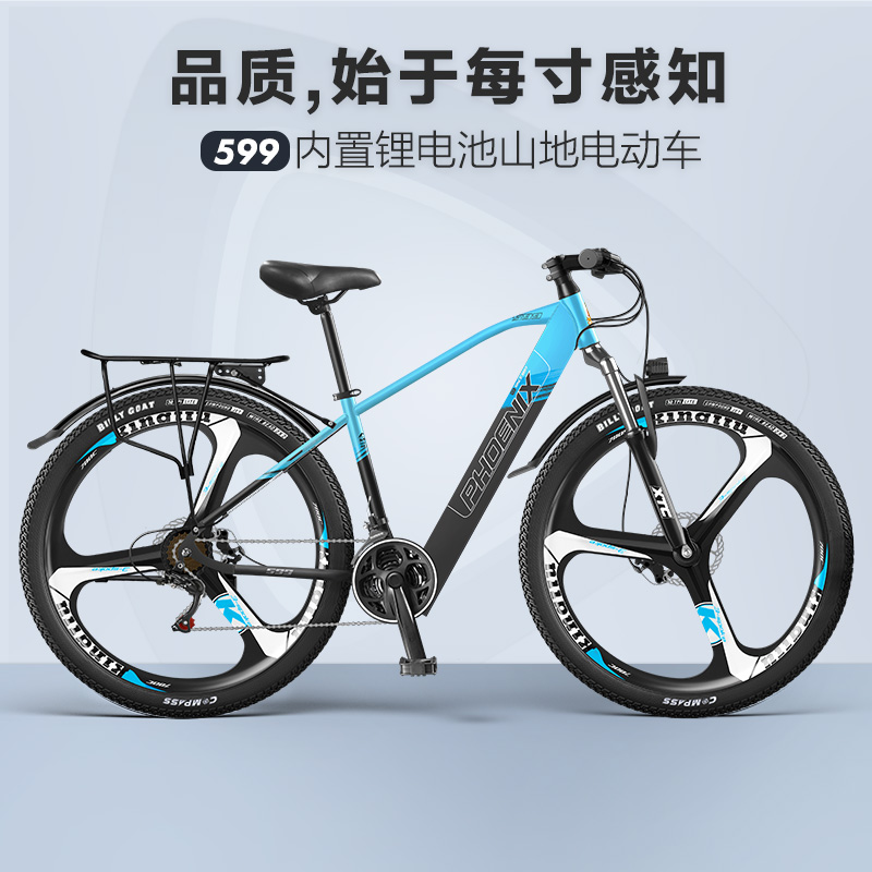 凤凰599锂电池爆款电动自行车