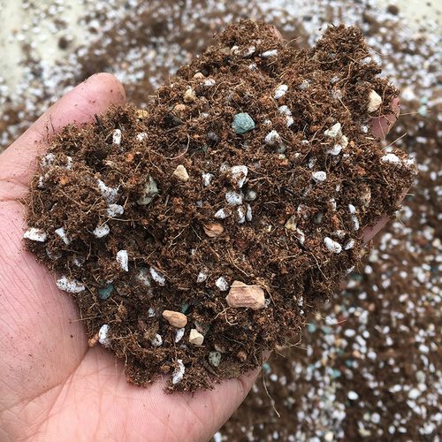 营养土多肉绿植通用土家用土