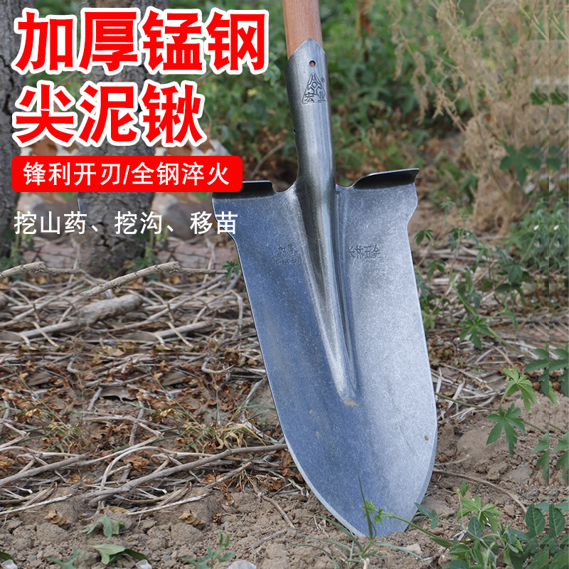 锰钢铁锹挖树淬火尖锹加厚起树铲