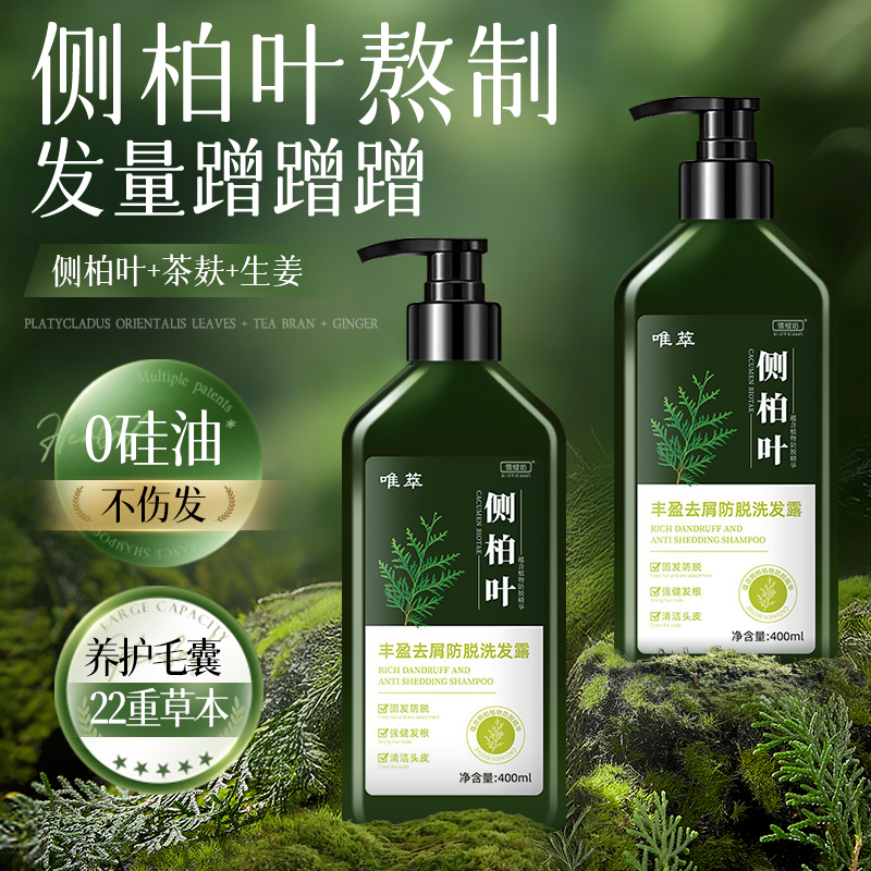 侧柏叶洗发水生姜茶麸植物草本养发防断脱控油蓬松去屑止痒洗发露