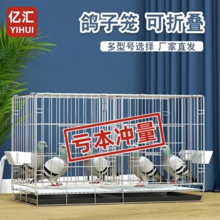 养鸽子专用笼家用大号特大号折叠鸽笼白鸽笼大空间加粗加固养殖笼