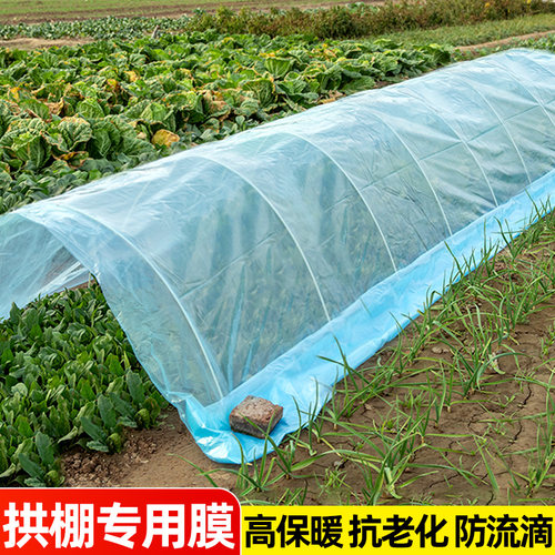 蔬菜拱棚膜大棚保温薄膜暖棚透明