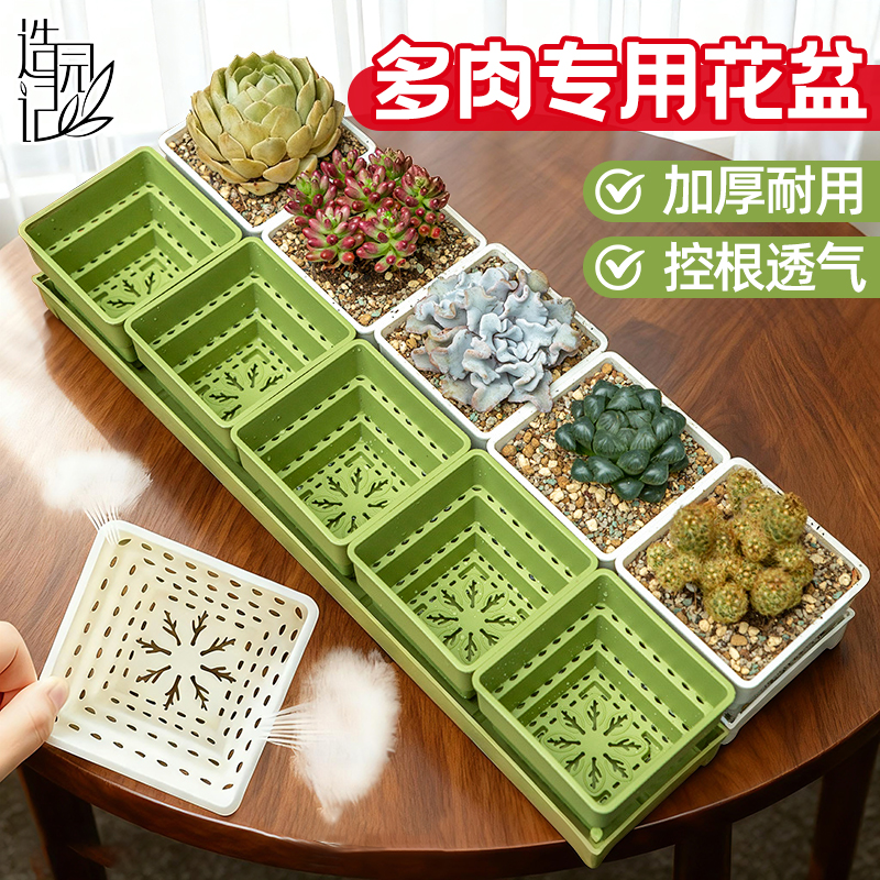 多肉花盆专用盆植物透气树脂塑料控根盆阳台长条盆育苗小号盆栽