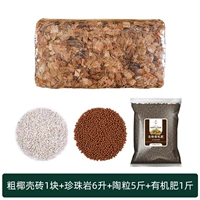 1 кусок толстого кокосового оболочка кирпича+6 литров перлита+5 кот из глиняных зерен+органические удобрения 1 котти