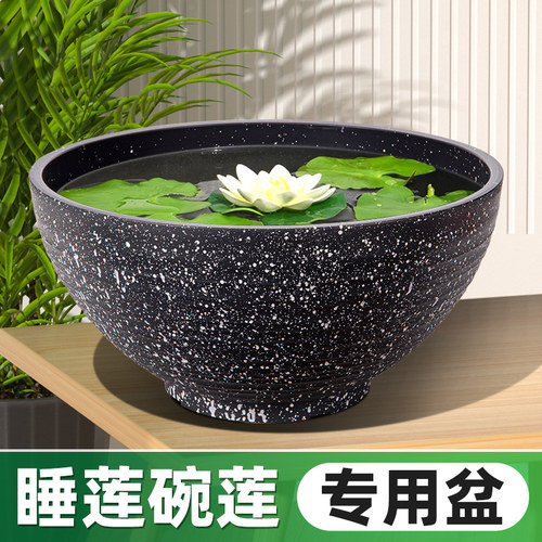 睡莲盆缸碗莲盆水培花盆专用