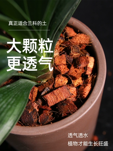 Орхидея почва Специальное кокосовое кокосовое кокосовое питание для домохозяйства питание почвы питательное фалаенопсис Универсальный опреснительный кокосовый кокосовый кирпич.