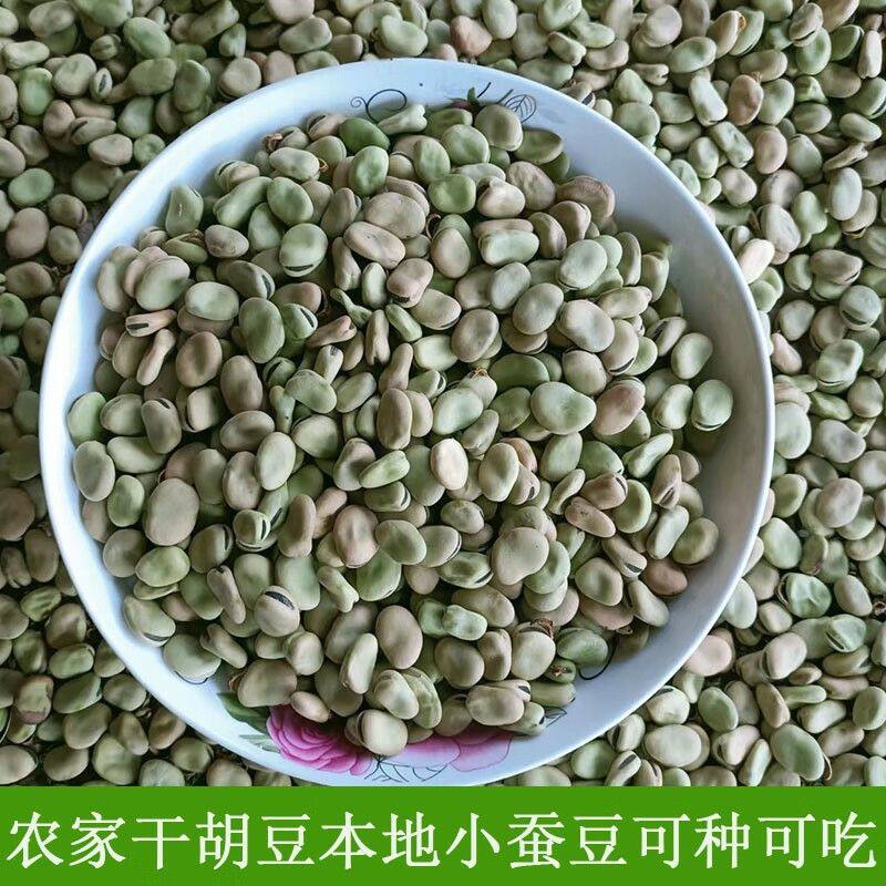 农家干蚕豆巴中小胡豆重庆小胡豆四川生胡豆罗汉豆2026年新货