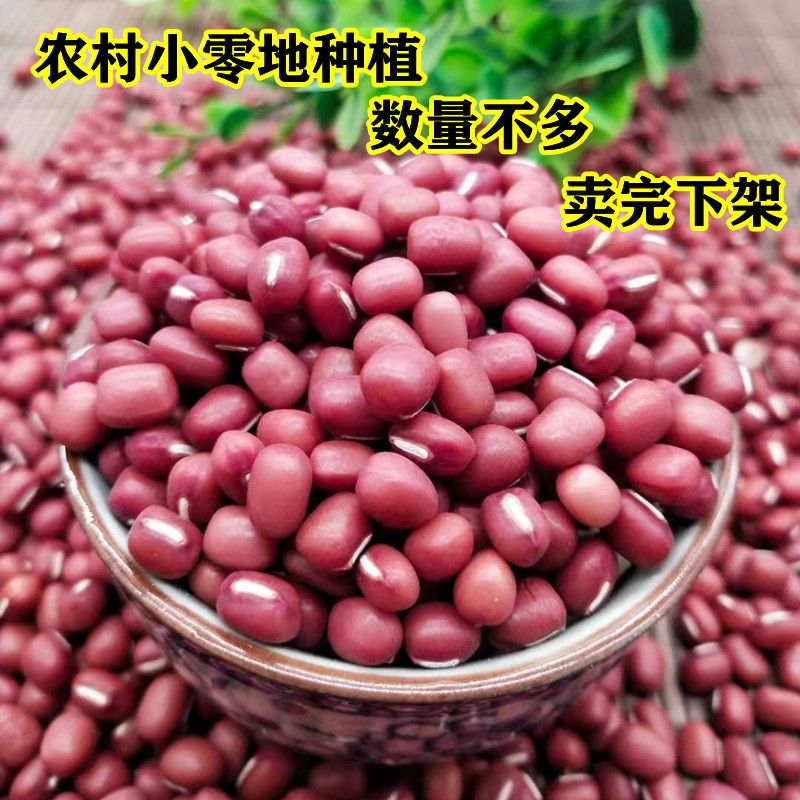 四川巴中特产红小豆无抛光无打蜡农家自产老品种红豆