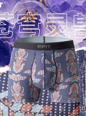 1条丨RFIT男士户外旅行内裤GO系列运动快干四角裤男【苍穹灵兽】