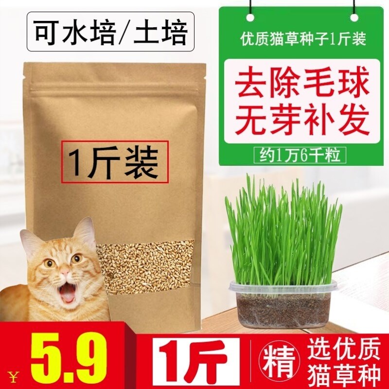 猫500g一斤装水培土培种植套装猫零食除毛球化毛膏盆栽猫咪拌粮去