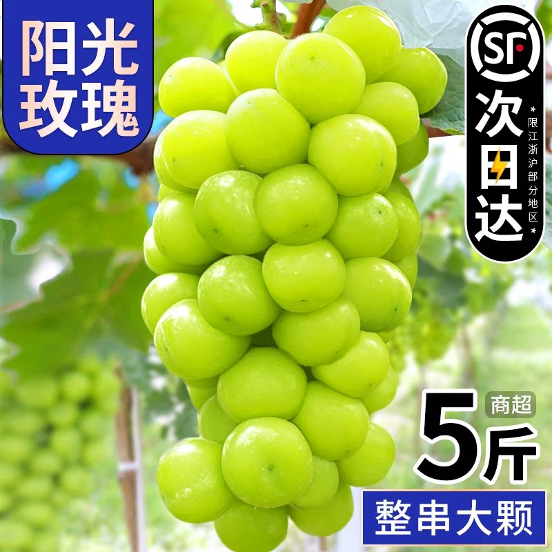 阳光玫瑰葡萄新鲜现摘晴王葡萄鲜葡萄/提子