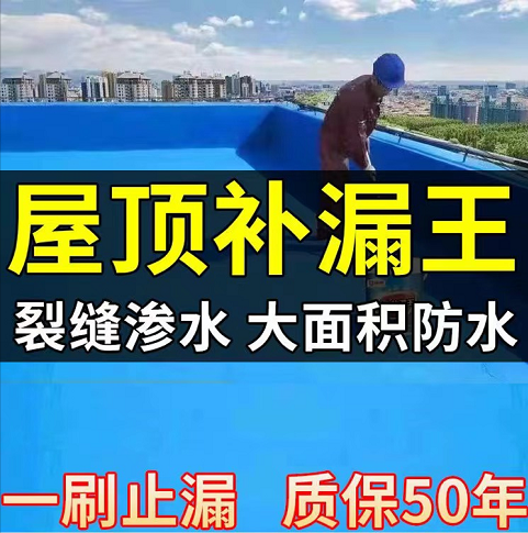 防水补漏材料防水涂料防水补漏王屋顶漏水房顶防水胶补漏裂缝渗水属于什么档次？