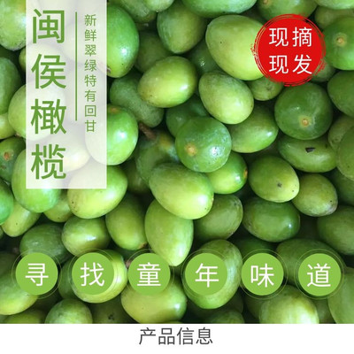 新鲜现摘青橄榄上市福榄鲜