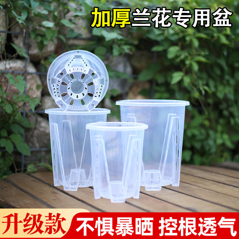花大爷蝴蝶兰专用花盆透明控根塑料透气加厚海芋兰花树脂青山花盆