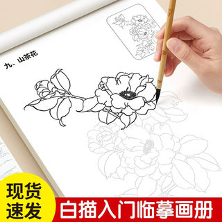 中国画白描临摹画册画本工笔画底稿画稿控笔训练初学者入门套装毛笔书法练习花鸟水墨成人专用熟宣纸卡纸软笔