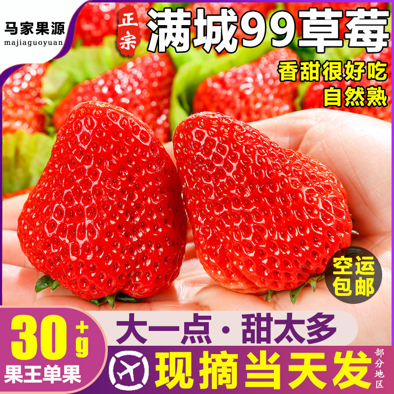 马家果源新鲜99草莓领券下单
