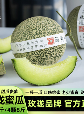 【玫珑直营】正宗玫珑蜜瓜2/4枚装 一藤一瓜当季新鲜水果网纹甜瓜