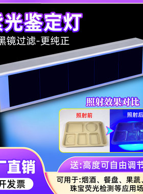 大功率365nmUV黑镜荧光检测验钞防伪鉴定油污探伤专用紫外光灯